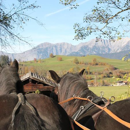 Oberdeutinghof Apartment Saalfelden Bagian luar foto