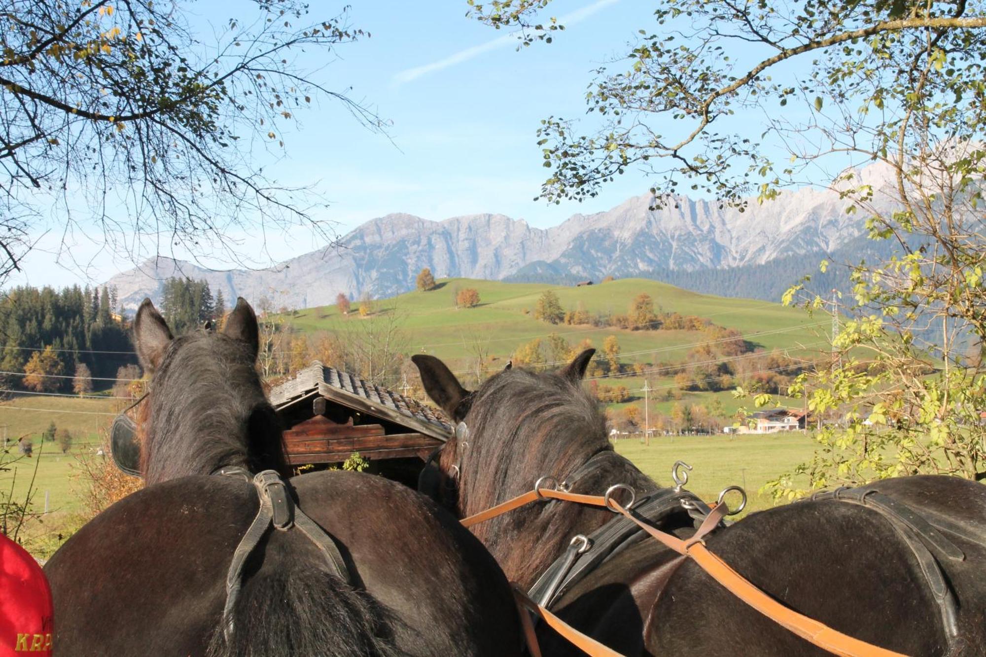 Oberdeutinghof Apartment Saalfelden Bagian luar foto